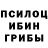 Псилоцибиновые грибы GOLDEN TEACHER ertis baser